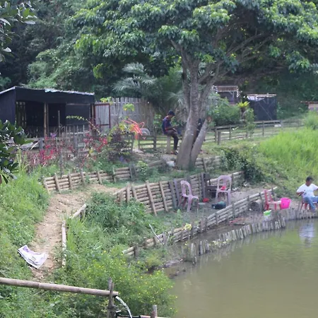 Hulu Langat Home Stay Eco Farm / 自然生态休闲度假屋